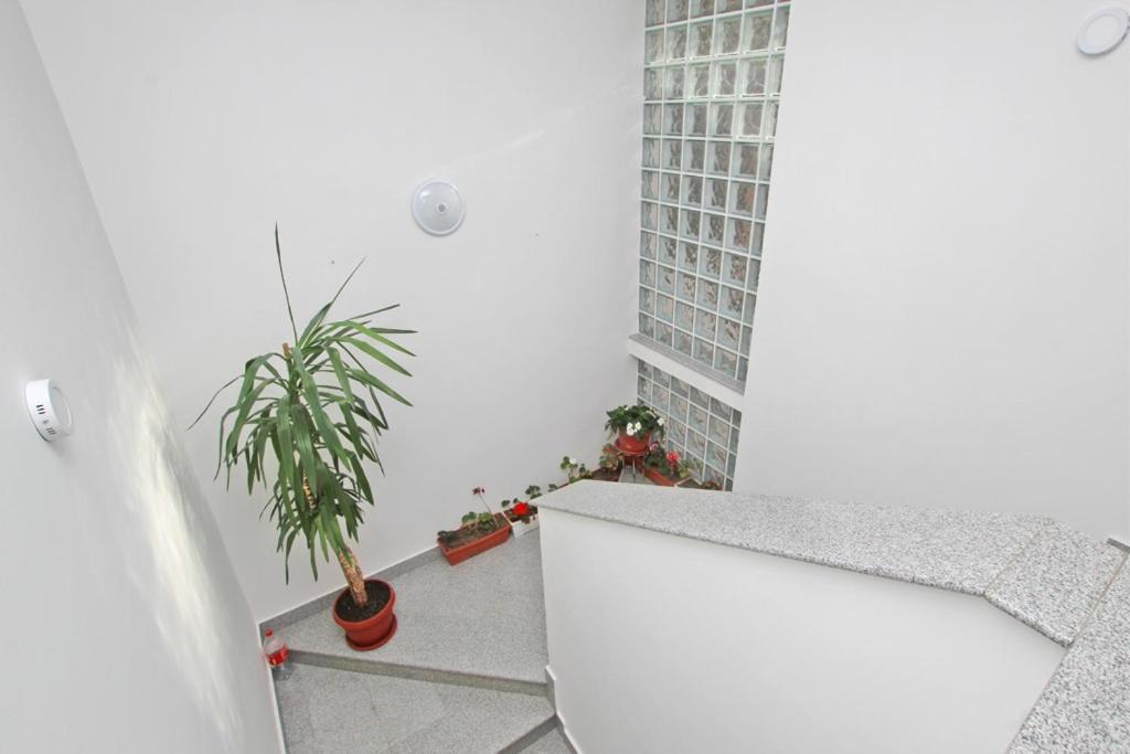 Imas Apartment Сараево Экстерьер фото