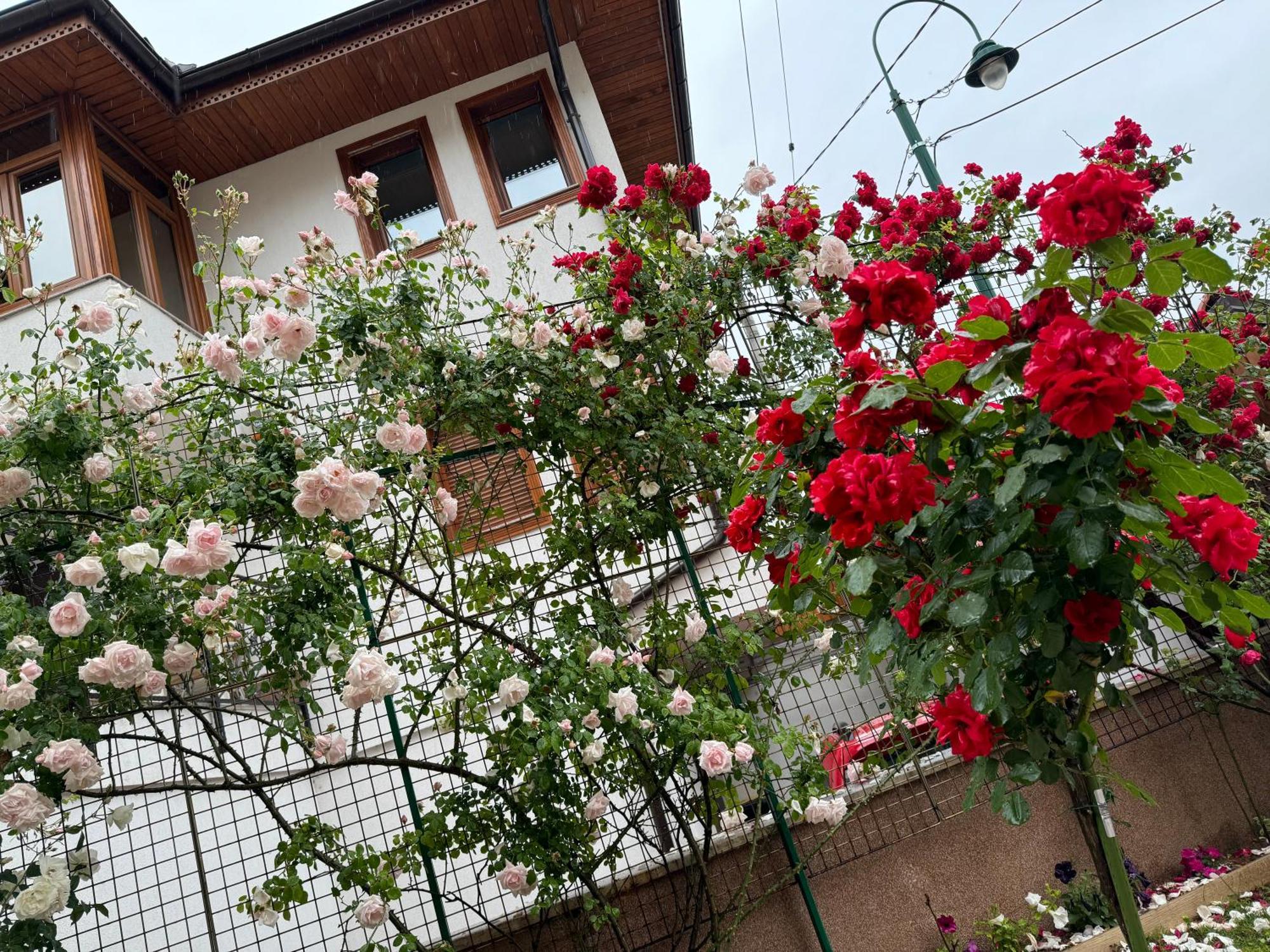 Imas Apartment Сараево Экстерьер фото
